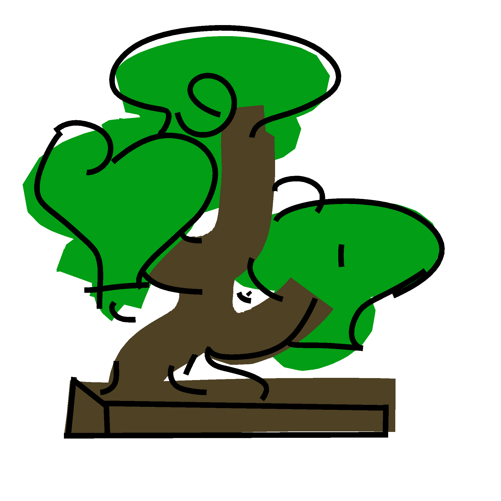 bonsai three
